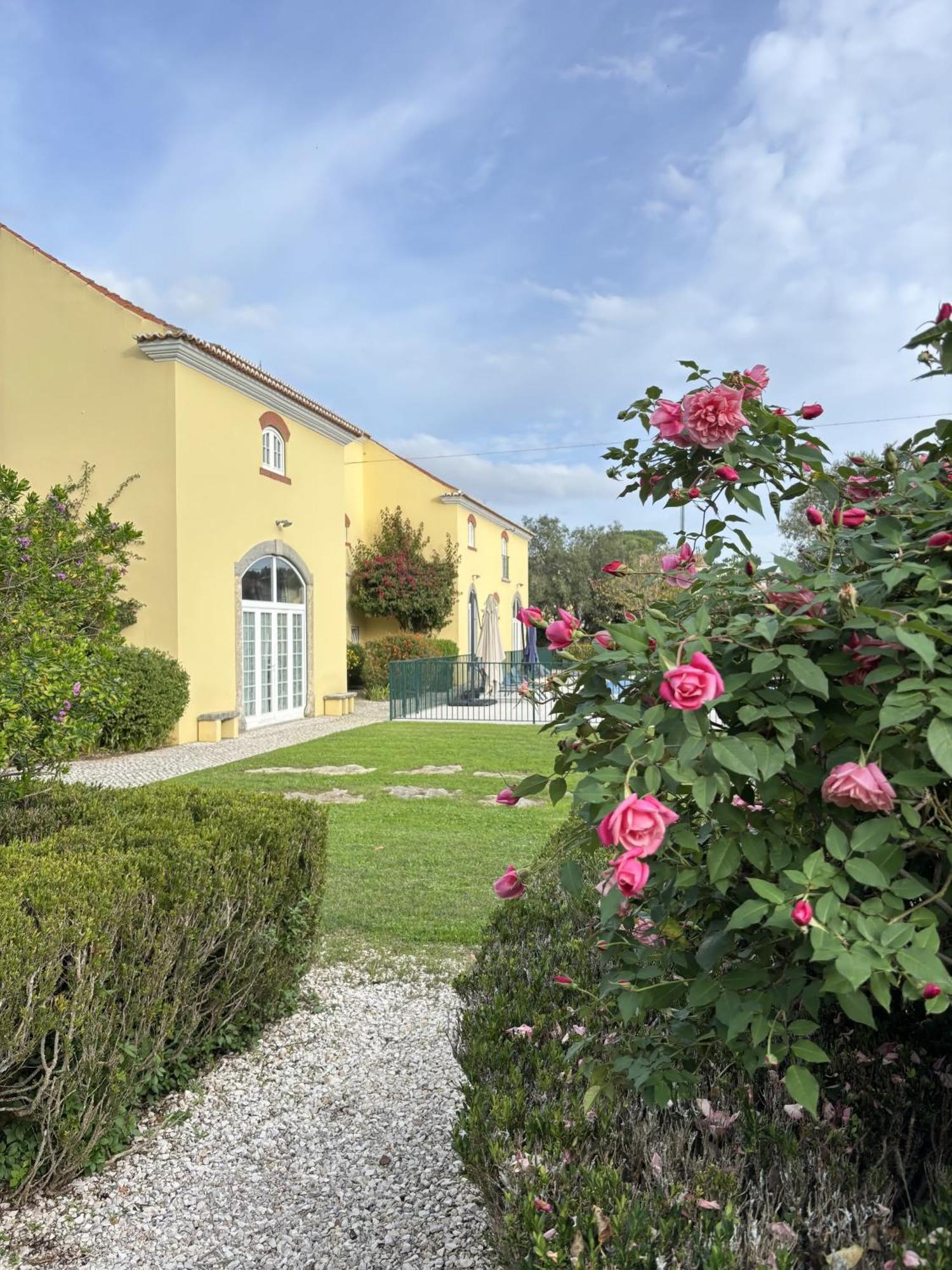 Quinta Do Scoto Bed and Breakfast Rinchoa Exteriör bild