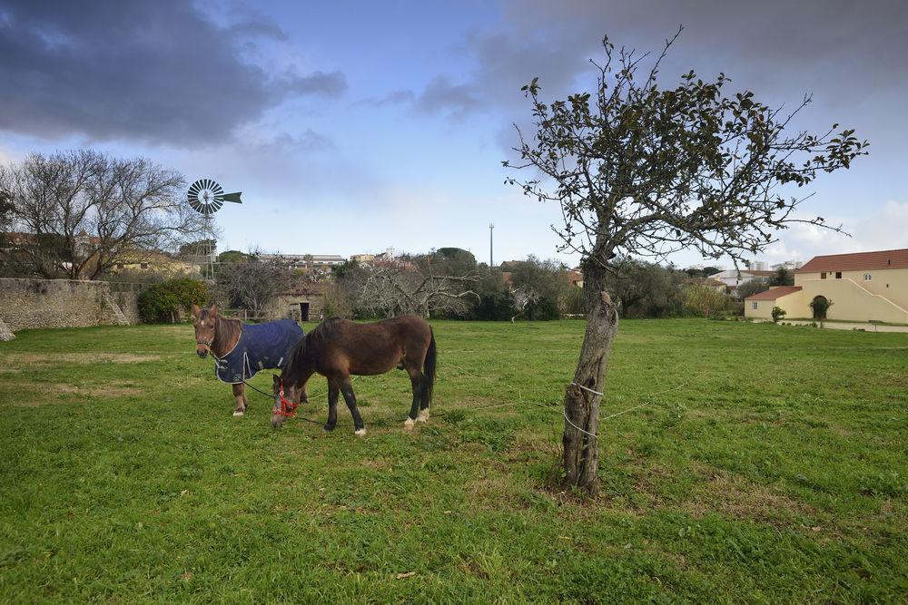 Quinta Do Scoto Bed and Breakfast Rinchoa Exteriör bild